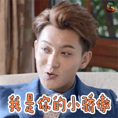 谈判官谢晓飞GIF动态表情包