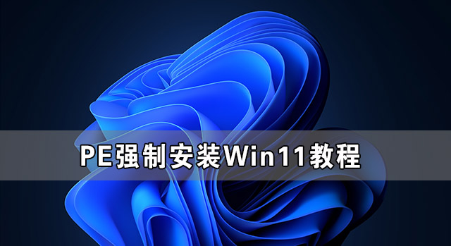 PE强制安装Win11教程 怎么用PE强制安装Win11