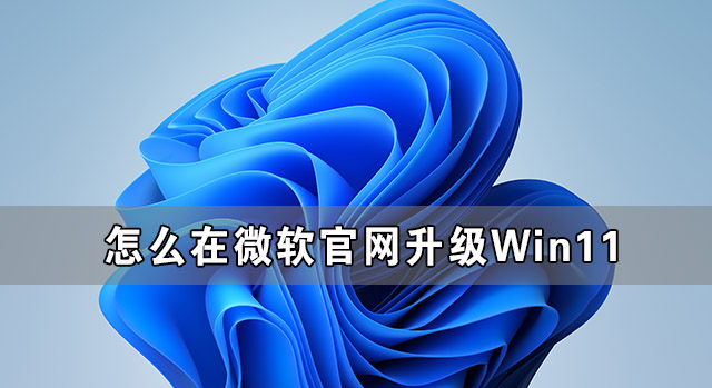 怎么在微软官网升级Win11 Win11官方升级方法介绍