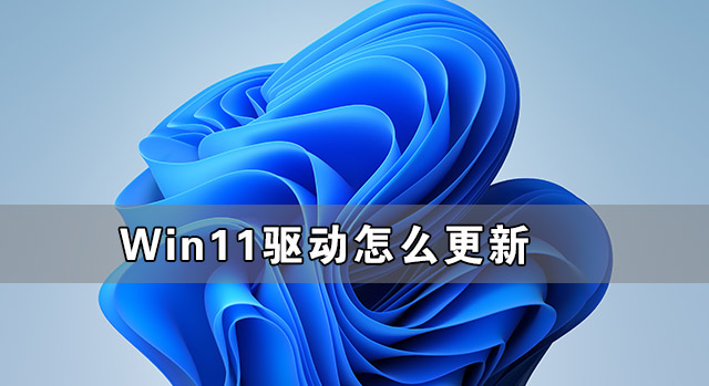 为什么不建议升级Win11？不建议升级Windows 11的理由