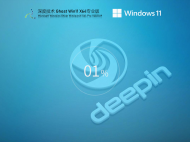 深度技术Win11 64位专业优化版 V2021.09