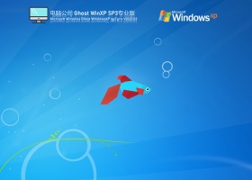 电脑公司WinXP SP3 U盘安装版 V2022.03