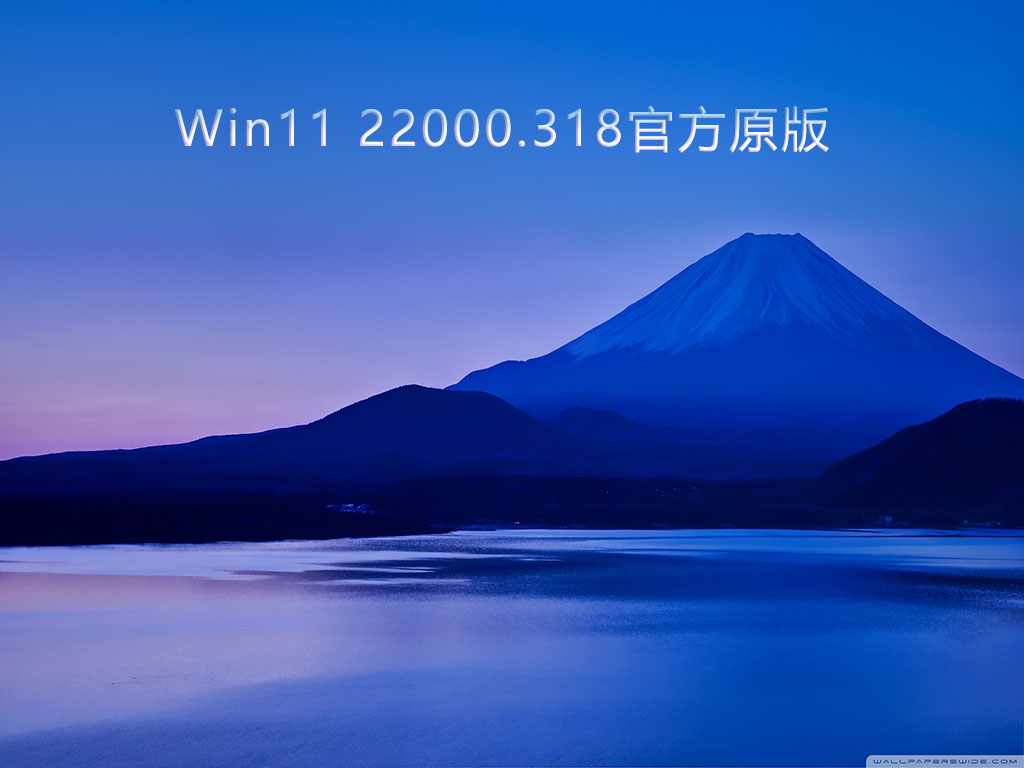 Win11官方原版 V22000.318