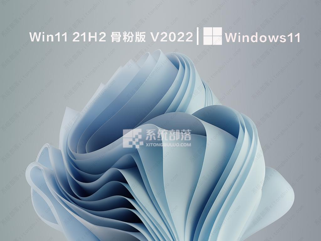 Win11 21H2 骨粉版 V2022