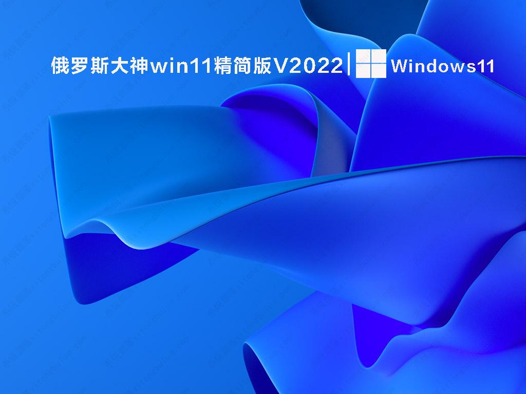 俄罗斯大神win11精简版 V2022