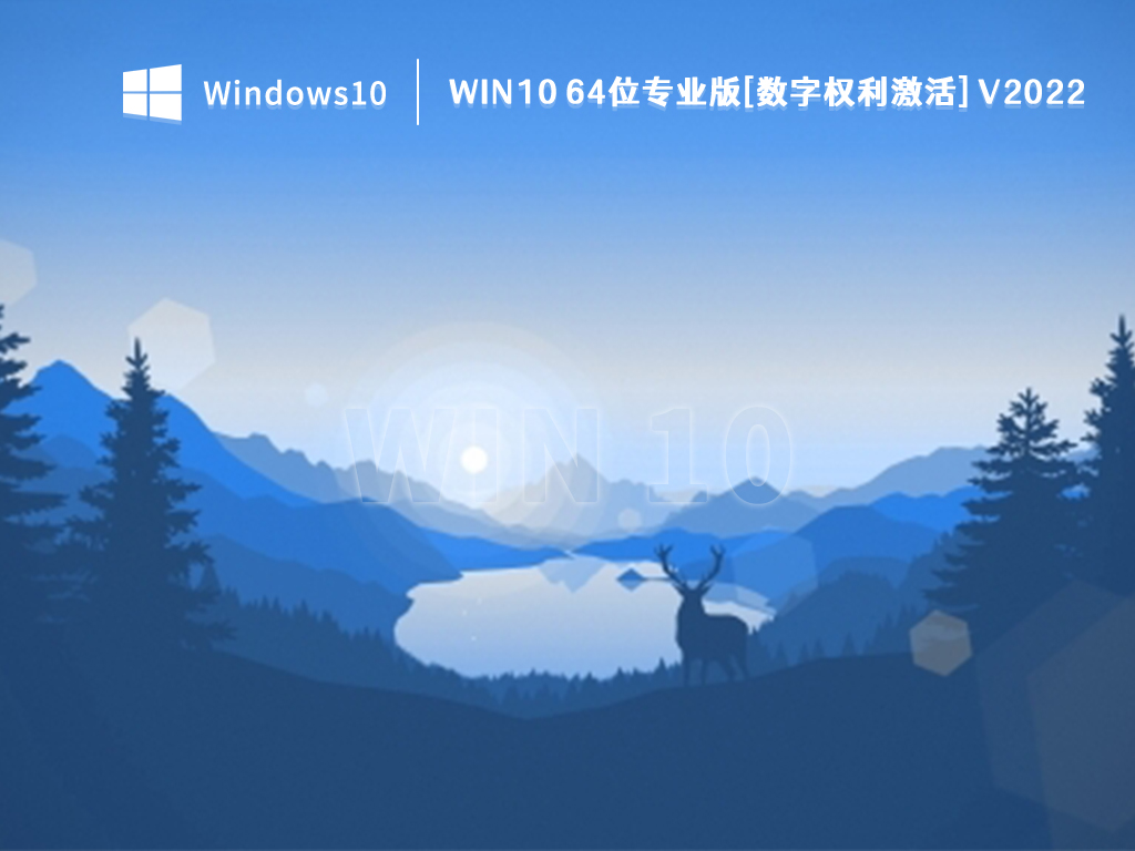 Win10 64位专业版[数字权利激活] V2022