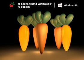 萝卜家园 Ghost Win10 64位 专业装机版 V2022