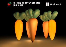 萝卜家园 Ghost Win11 64位 精简专业版 V2023
