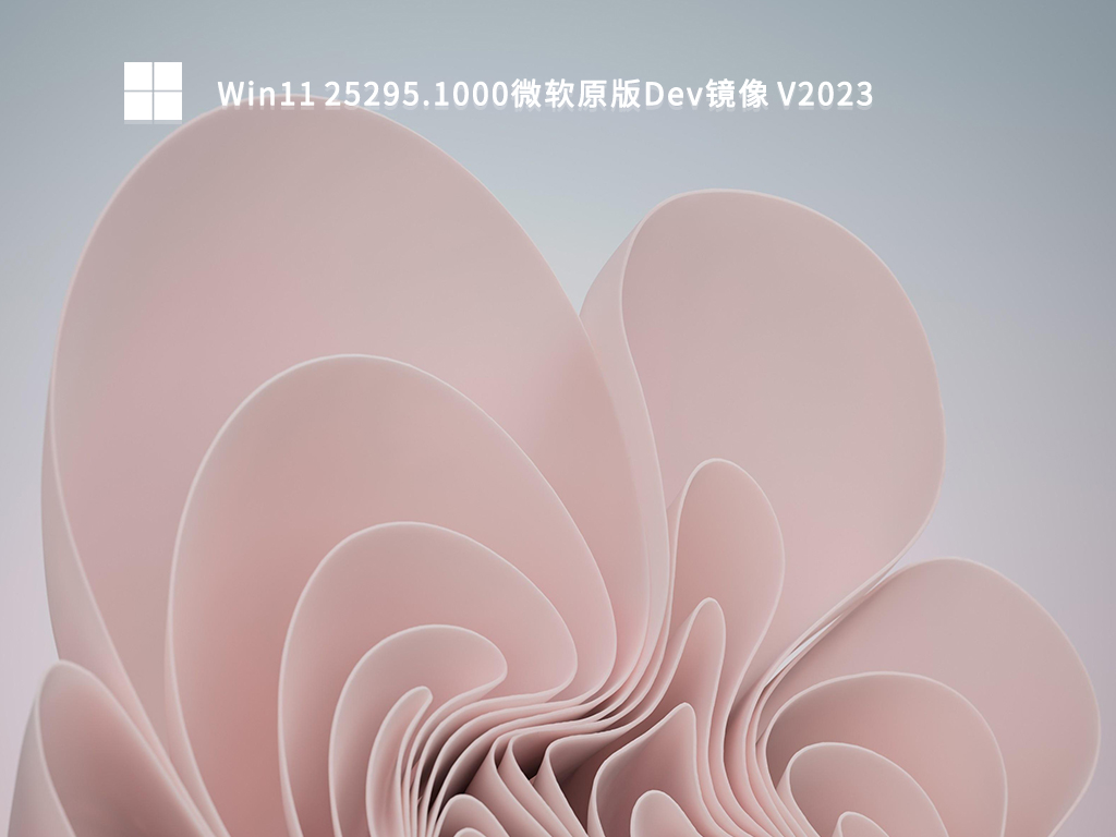 Win11 25295.1000微软原版Dev镜像 V2023