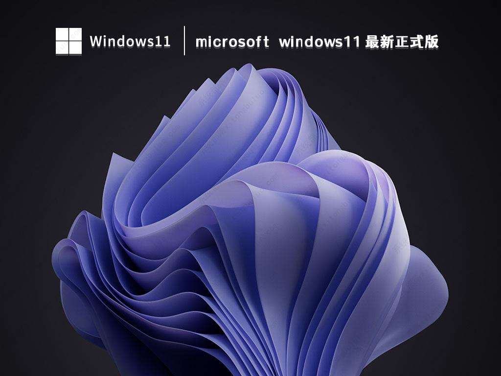 microsoft windows11 最新正式版 V2023