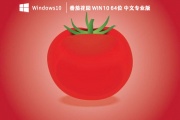 番茄花园 Win10 64位 中文专业版 V2023