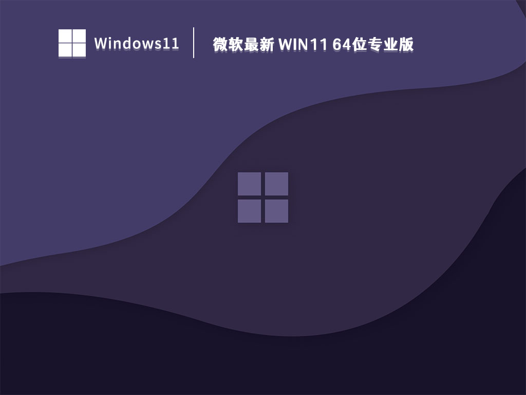 微软最新 Win11 64位专业版 V2023