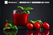 番茄花园 Win11 极度精简版64位 V2023