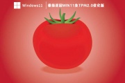 番茄花园Win11免tpm2.0优化版 V2023