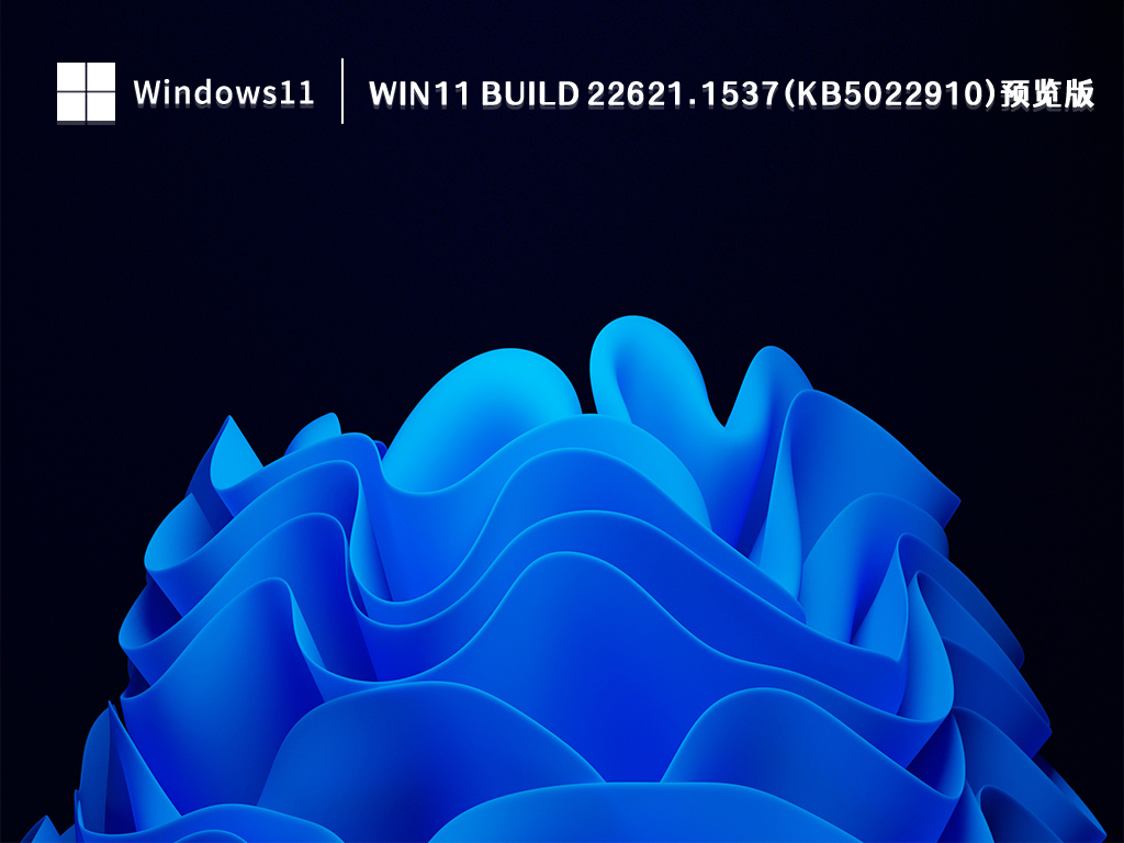 Win11 Build 22621.1537(KB5022910)预览版镜像 V2023