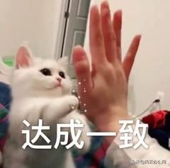 kux怎么转成mp4格式（kux格式转换为mp4格式方法）