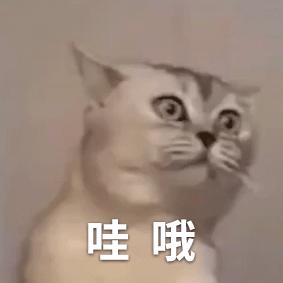 iphone最良心功能（iphone最经典的功能）