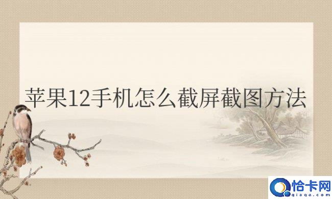 苹果手机12怎么截屏截图方法(苹果手机12如何进行截屏操作？)