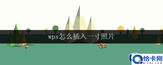 wps怎么插入一寸照片(wps如何在表格中插入一寸照片)