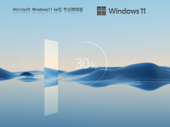 Windows11 22H2 64位 专业精简版 V2023.08