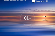 正式版Windows10专业版(22H2)64位系统