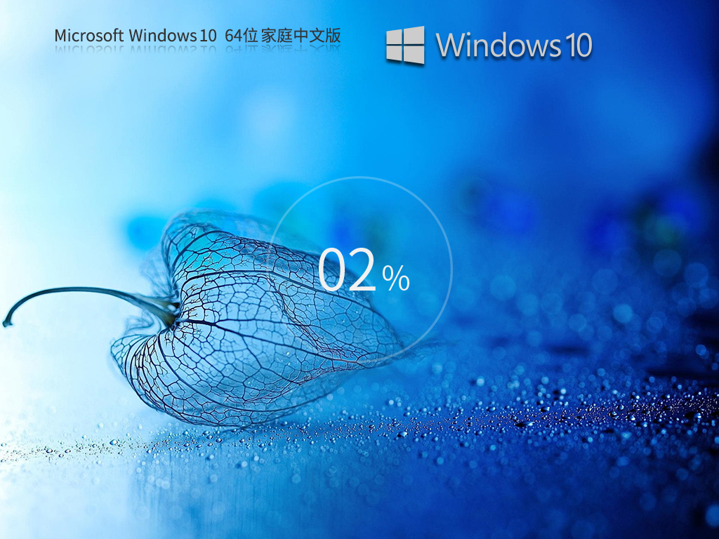 【日常工作学习】Windows10 22H2 64位 家庭中文版