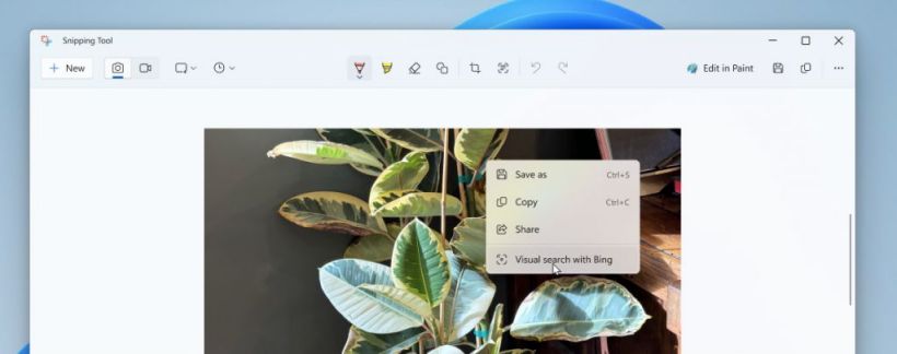 微软升级 Win11 截图工具：调用 Bing 进行可视化搜索
