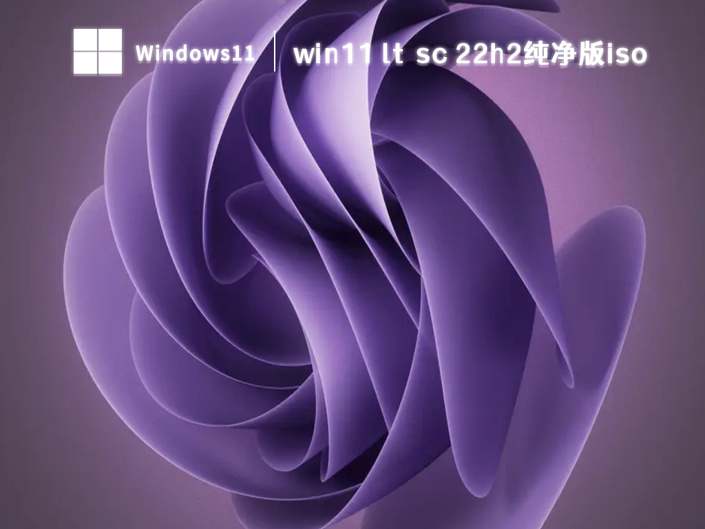 win11 ltsc 22h2纯净版iso V2024