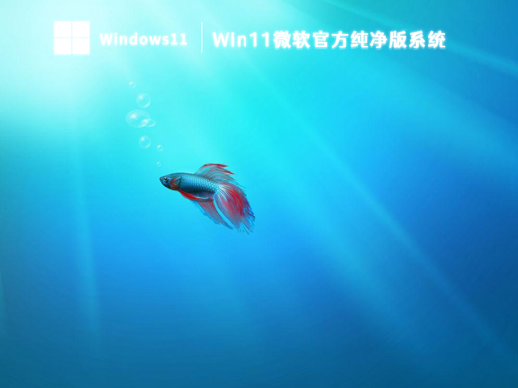 Win11微软官方纯净版系统 V2024