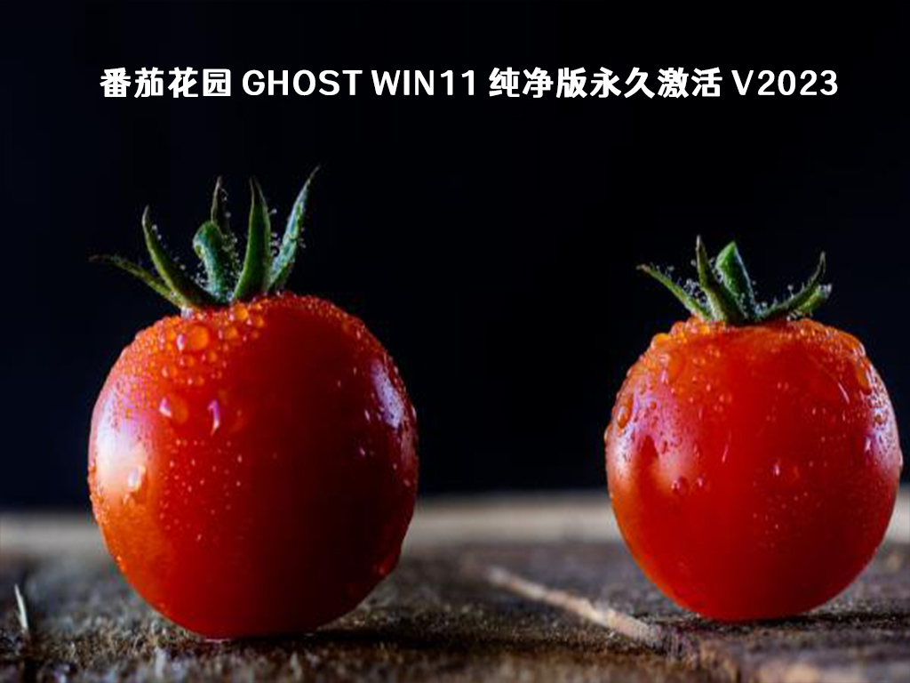 番茄花园 Ghost Win11 纯净版永久激活 V2024