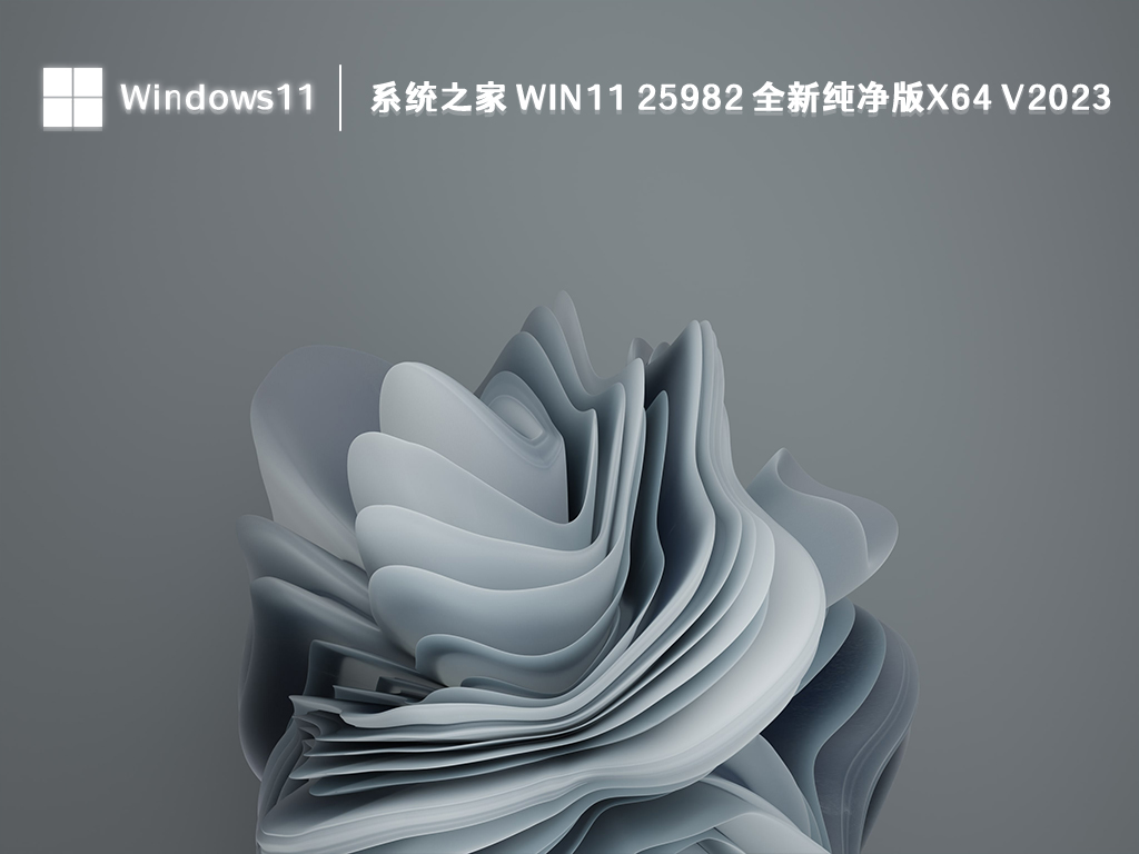 系统之家 Win11 25982 全新纯净版x64 V2024