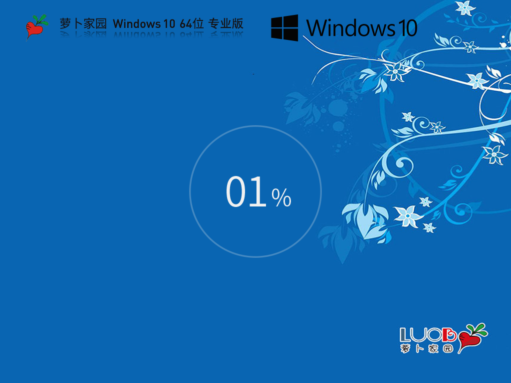 萝卜家园 Windows 10 64位 专业版